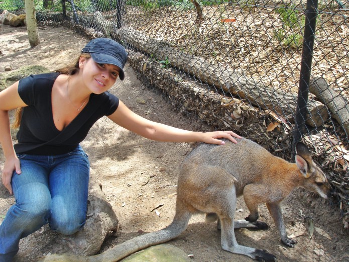 Turismo animal com cangurus Australianos