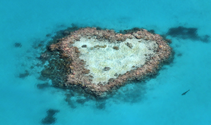 Mergulho no recife de corais na Austrália
